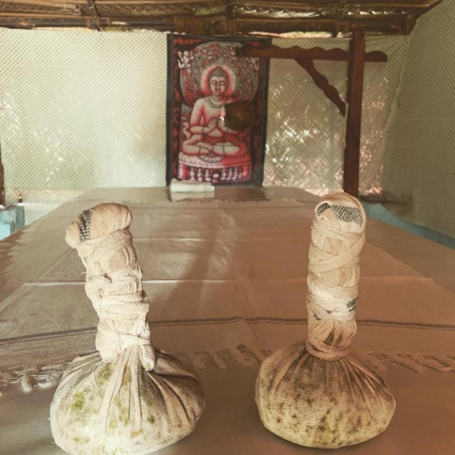 Green Garden Ayurvedic Resort & Green House فاركَالا المظهر الخارجي الصورة