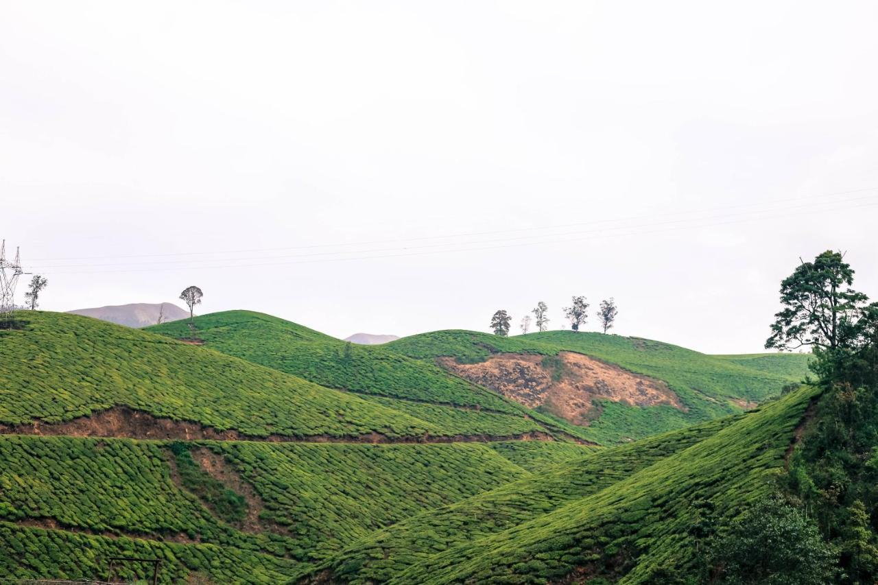 Green Garden Ayurvedic Resort & Green House فاركَالا المظهر الخارجي الصورة