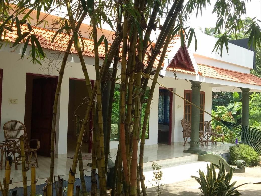 Green Garden Ayurvedic Resort & Green House فاركَالا المظهر الخارجي الصورة