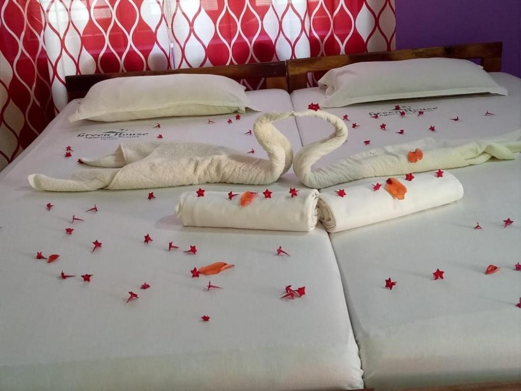 Green Garden Ayurvedic Resort & Green House فاركَالا المظهر الخارجي الصورة