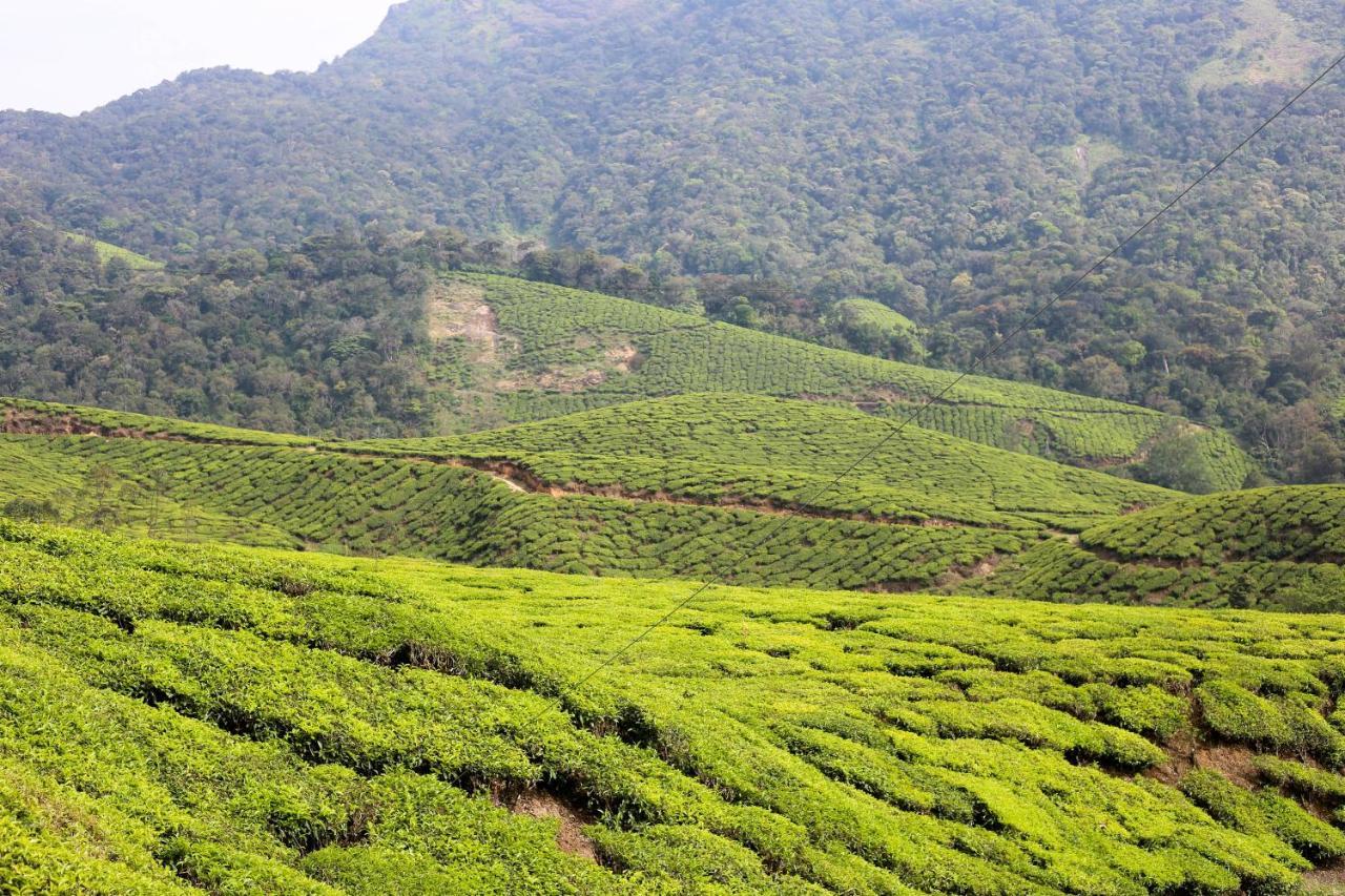 Green Garden Ayurvedic Resort & Green House فاركَالا المظهر الخارجي الصورة