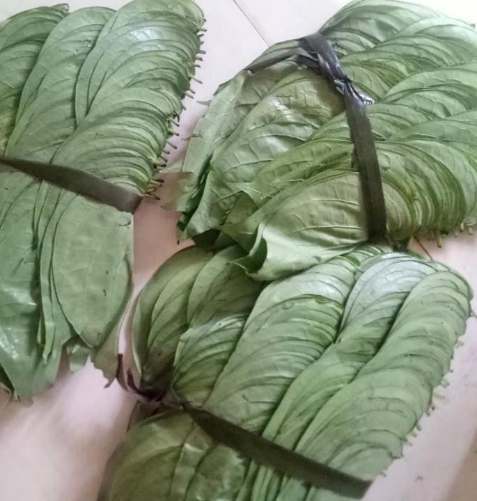 Green Garden Ayurvedic Resort & Green House فاركَالا المظهر الخارجي الصورة
